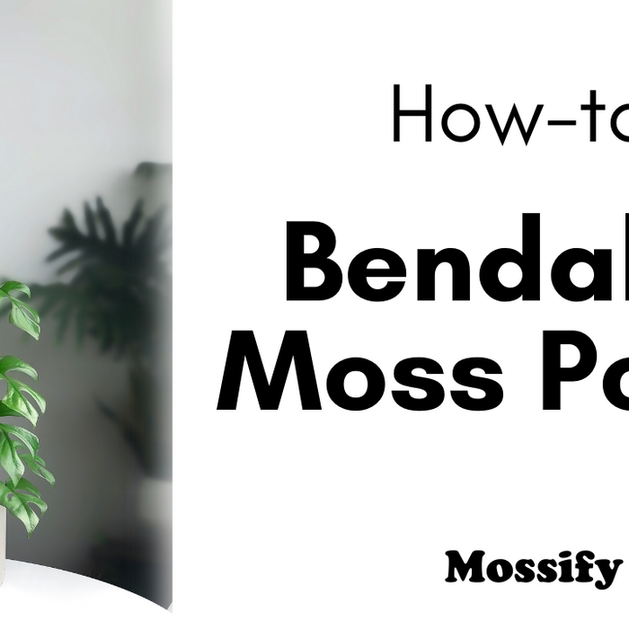 How To Use The Bendable Moss Pole™
