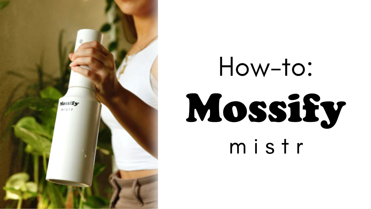 How To Use Your Mossify mistr™ | Automatic Rechargeable Plant Mister