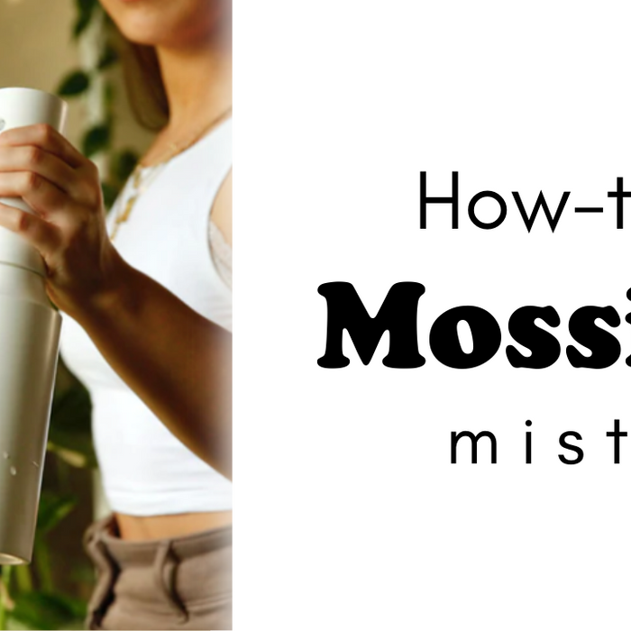 How To Use Your Mossify mistr™ | Automatic Rechargeable Plant Mister