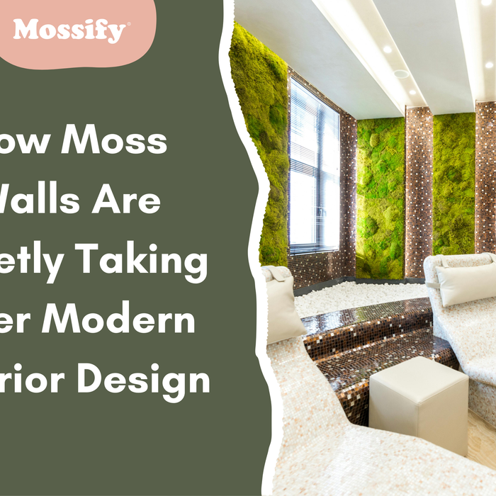 moss-wall-modern-space-salon