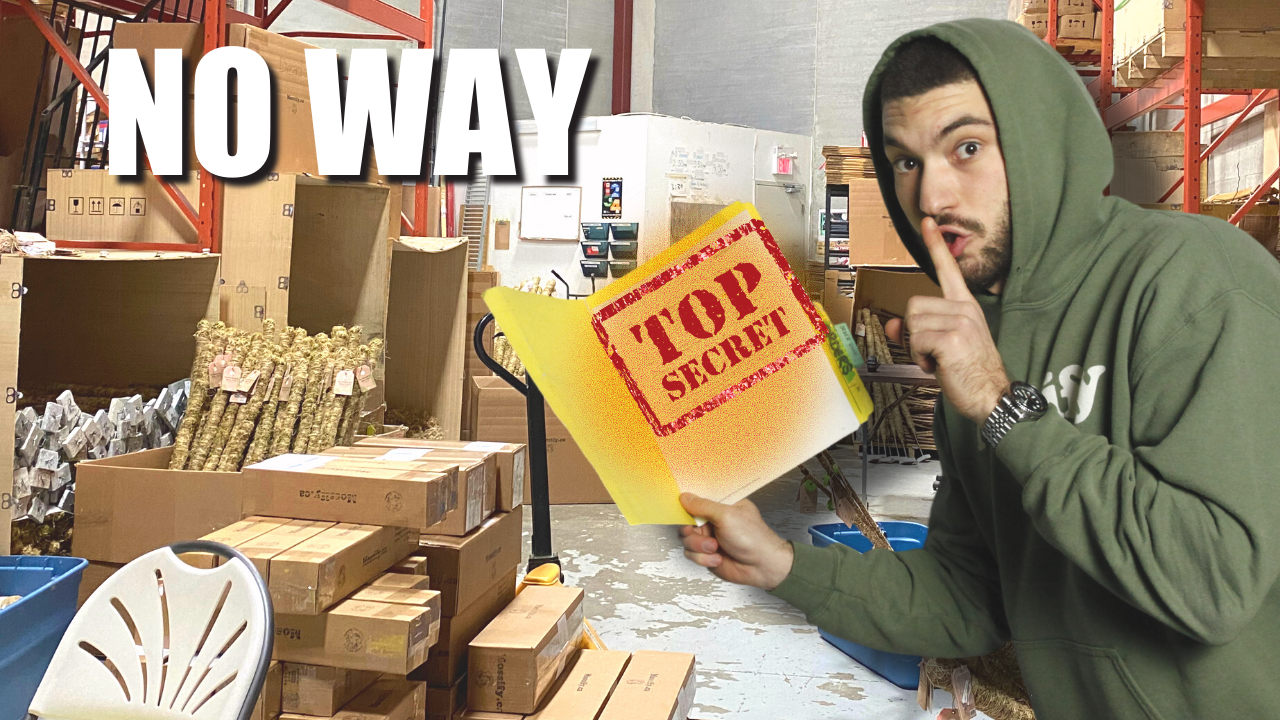 Exposing Our Company Secrets!