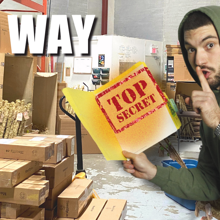 Exposing Our Company Secrets!