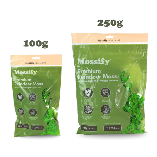 Premium Reindeer Moss 100 g and 250 g bag size comparison