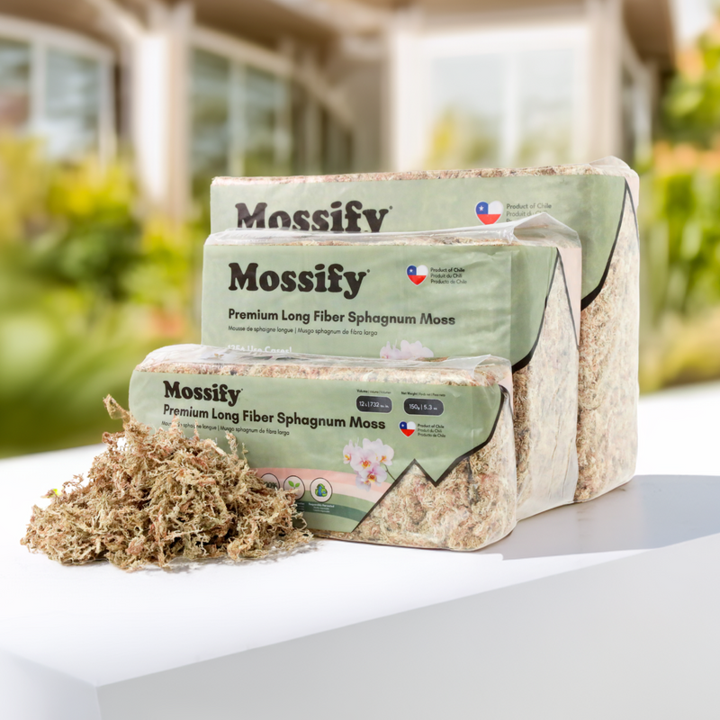 Premium Sphagnum Moss - Mossify