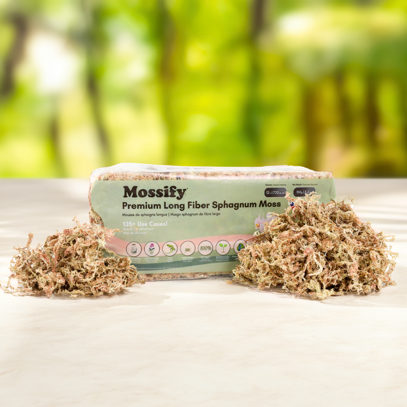 Premium Sphagnum Moss - Mossify