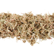 Premium Sphagnum Moss - Mossify