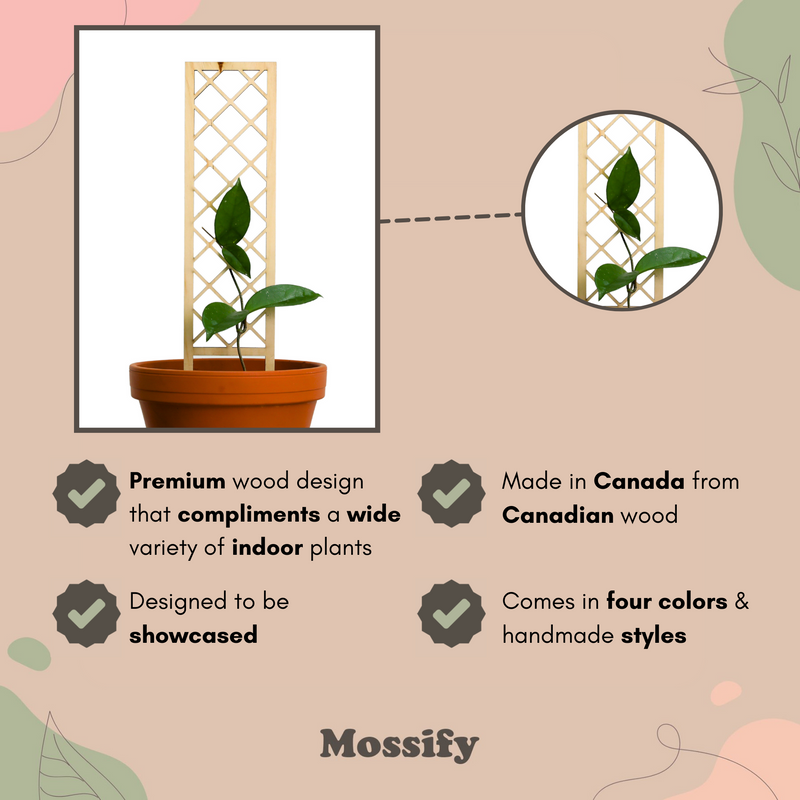 Cross-Hatch Wooden Trellis - Mossify