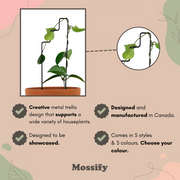 "Plant Stairs" Metal Trellis - Mossify