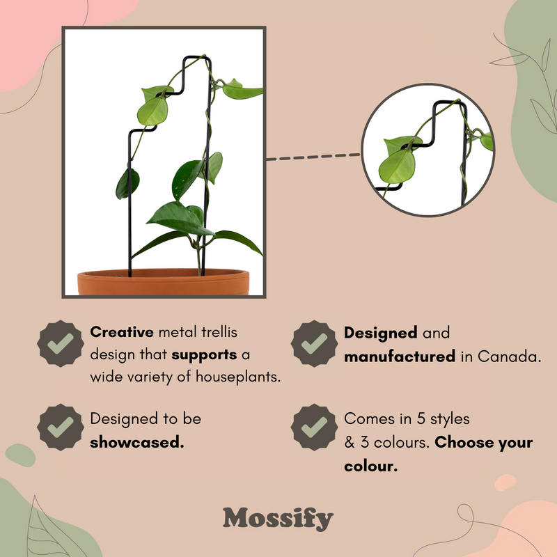 "Plant Stairs" Metal Trellis - Mossify