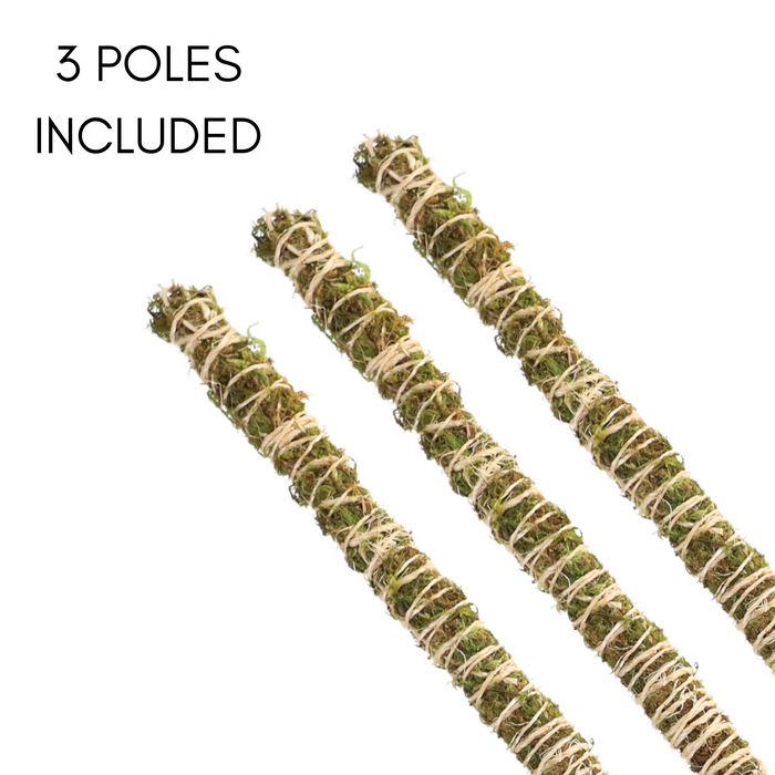 The Bendable Moss Pole™ THIN