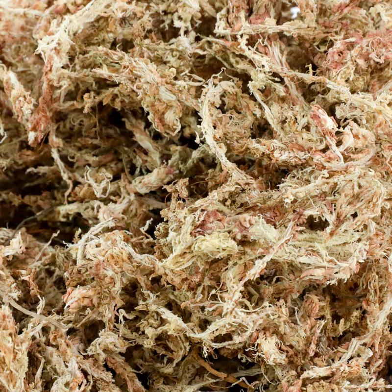 Premium Sphagnum Moss - Mossify