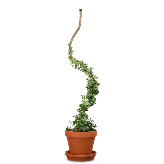 2-Pack 54" Bendable Polesβ’ - Mossify