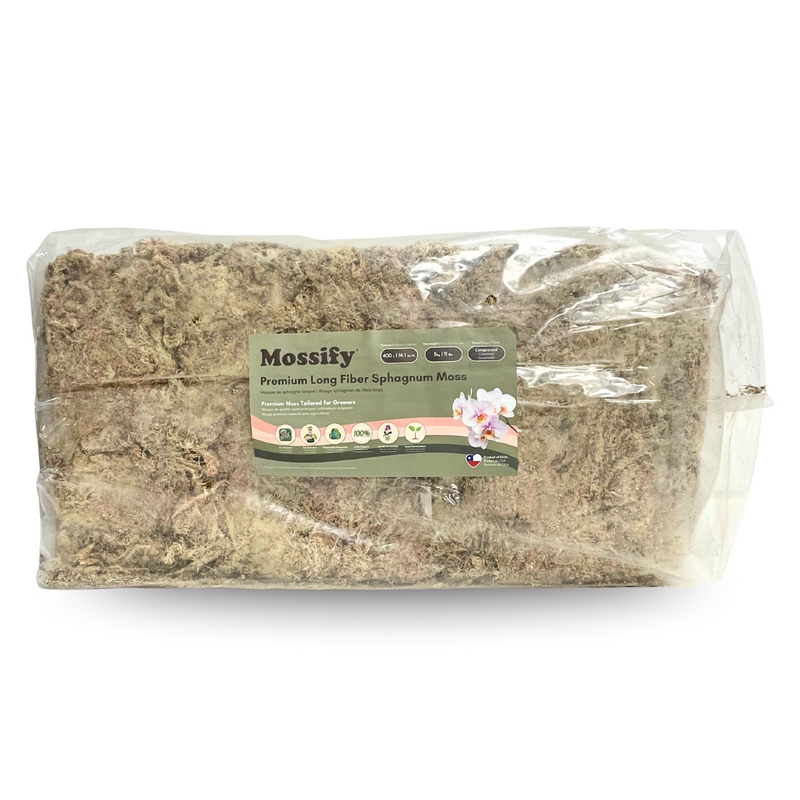 Premium Sphagnum Moss - Mossify