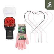 Everlasting Love Bundle - Mossify