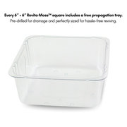 Natural Canadian Sphagnum Moss - Revita-Moss - Mossify