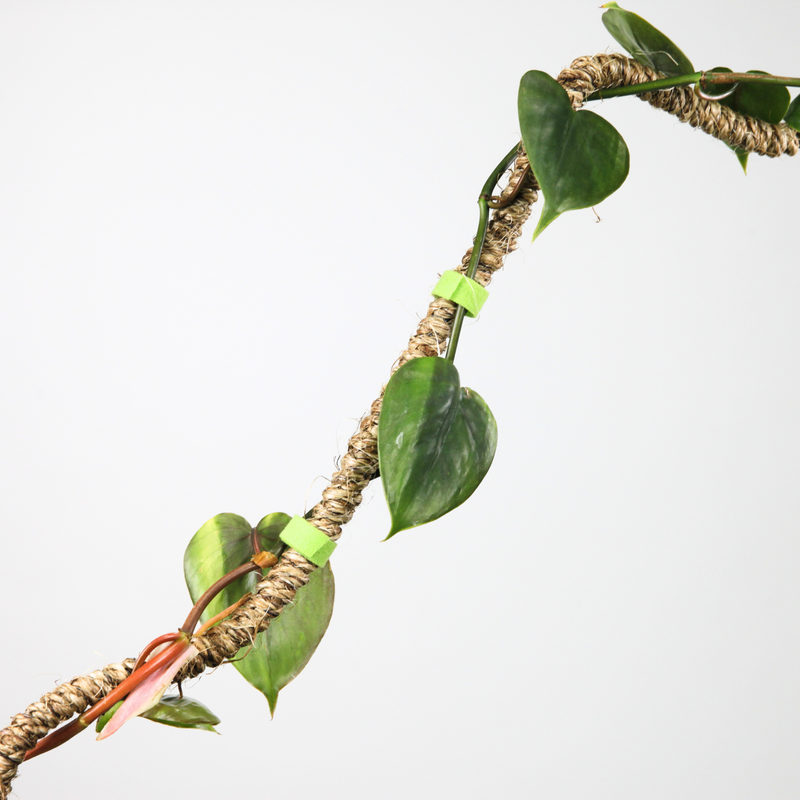 The Original Bendable Coir Pole™ - Best Seller (Tape Included)