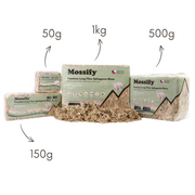 Premium Sphagnum Moss - Mossify