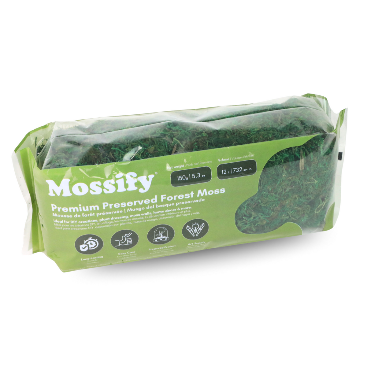 Premium Preserved Forest Moss - Mossify