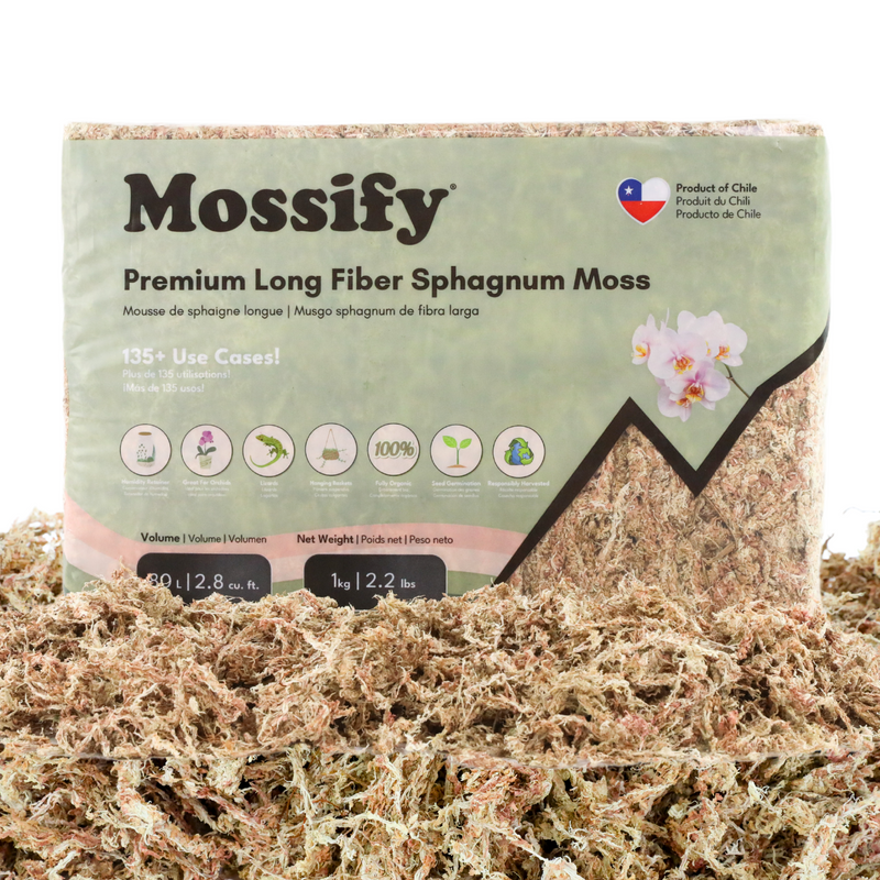 Premium Sphagnum Moss - Mossify