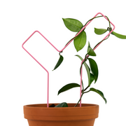 "Check Mark" Metal Trellis - Mossify