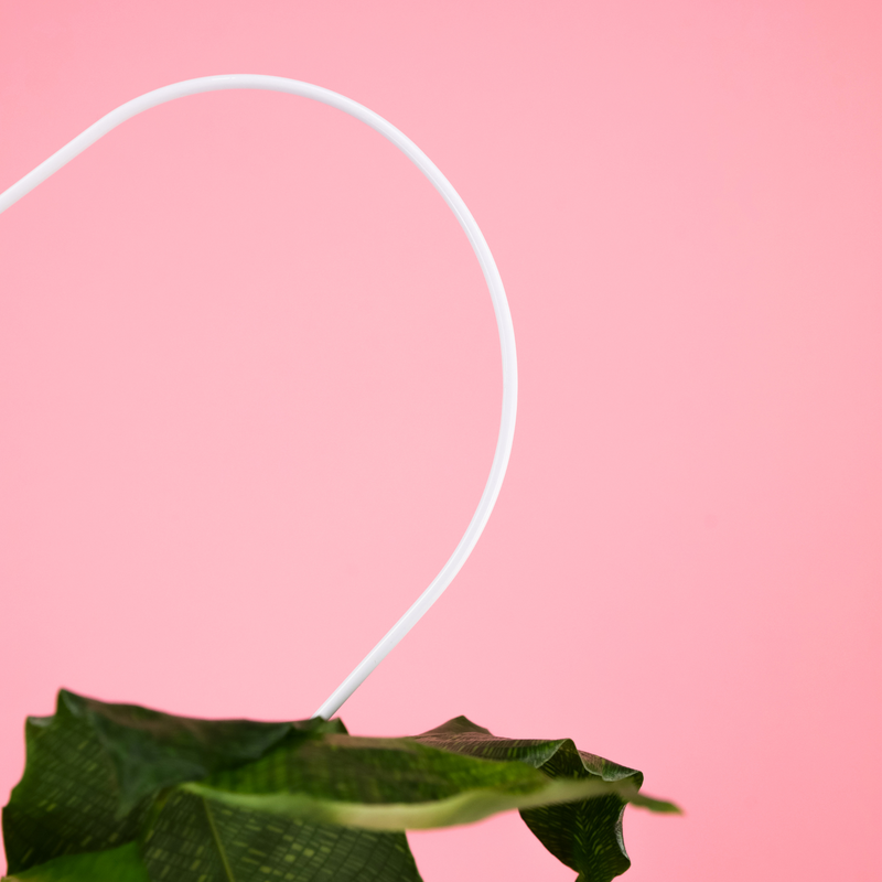 Everlasting Love Bundle - Mossify