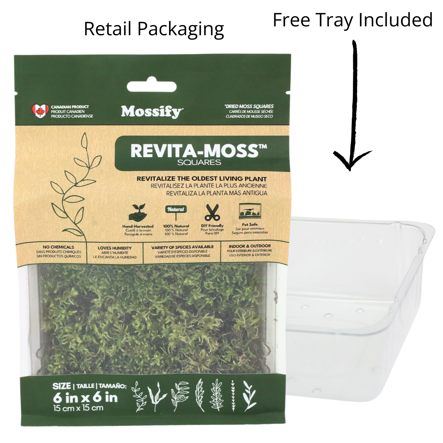 Revita-Moss Retail.