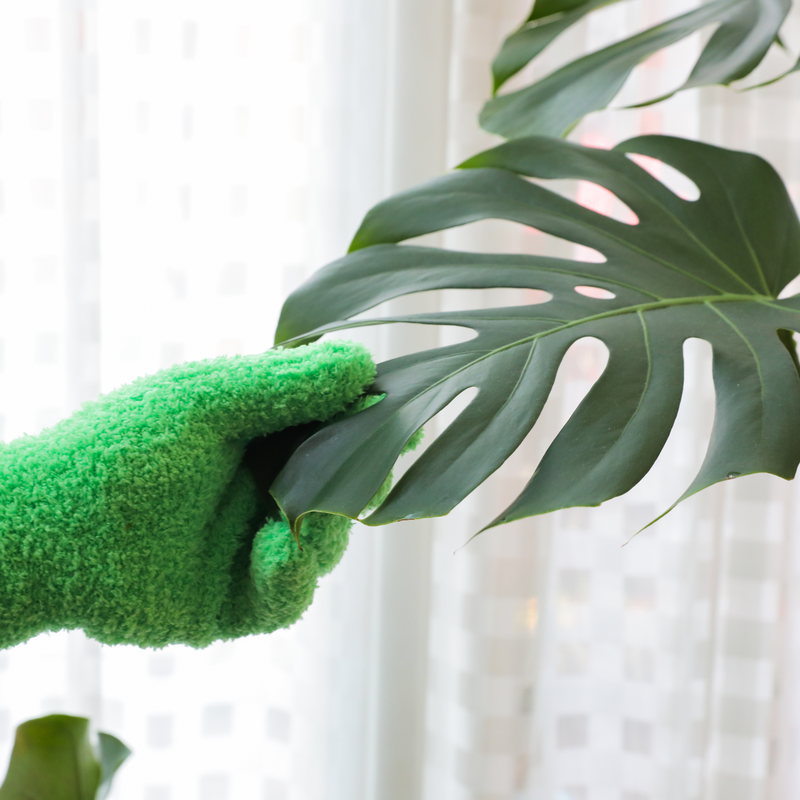 3 Pairs Leaf Shining Microfiber Gloves - Mossify