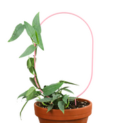 "Oval" Metal Trellis - Mossify