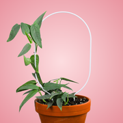 "Oval" Metal Trellis - Mossify