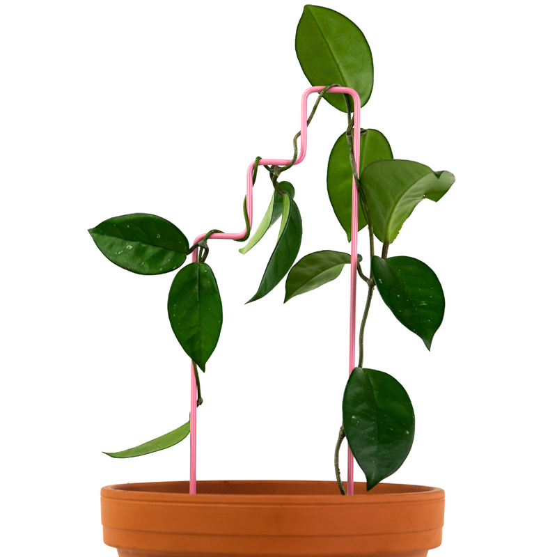 "Plant Stairs" Metal Trellis - Mossify