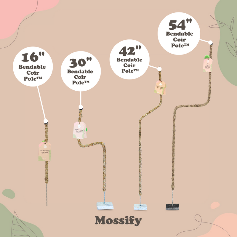 The Original Bendable Coir Pole™ - Best Seller (Tape Included) - Mossify
