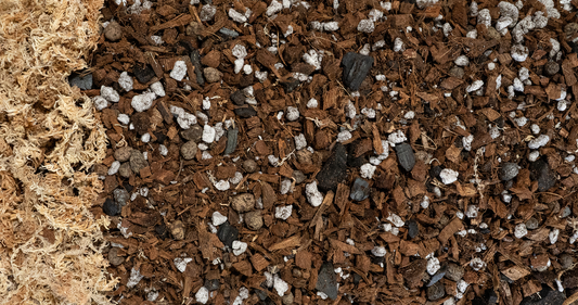 Close-up of Forbidden Cereal mix showing bark, perlite, charcoal and sphagnum