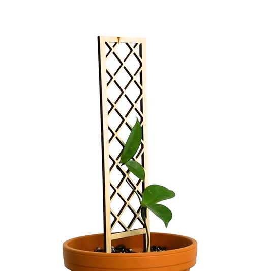 Cross-Hatch Wooden Trellis