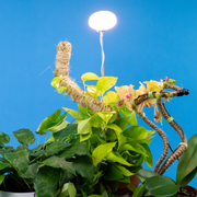 28" Adjustable LED Plant Light - Mossify