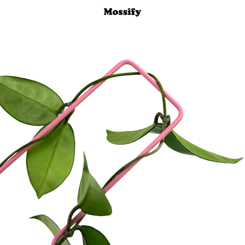 "Check Mark" Metal Trellis - Mossify