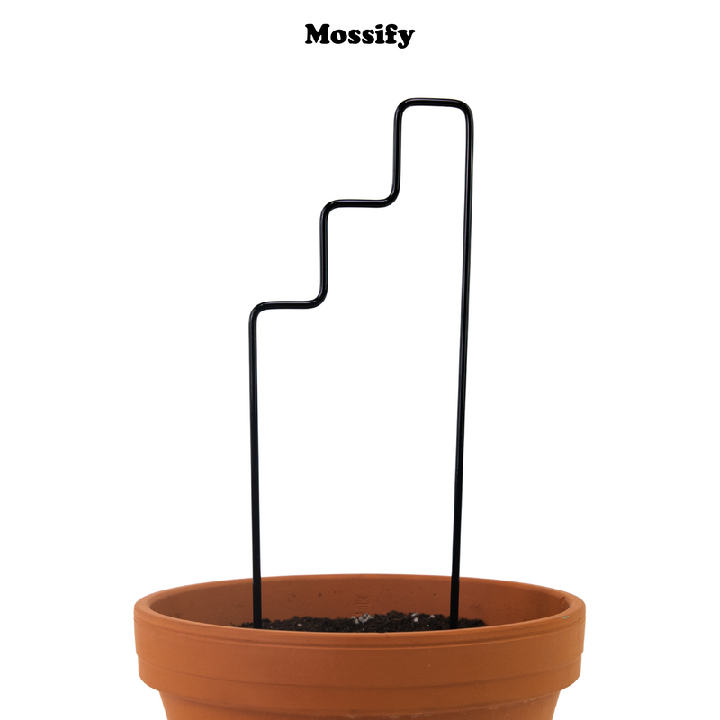 "Plant Stairs" Metal Trellis - Mossify