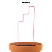 "Plant Stairs" Metal Trellis - Mossify