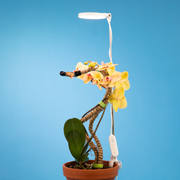 28" Adjustable LED Plant Light - Mossify
