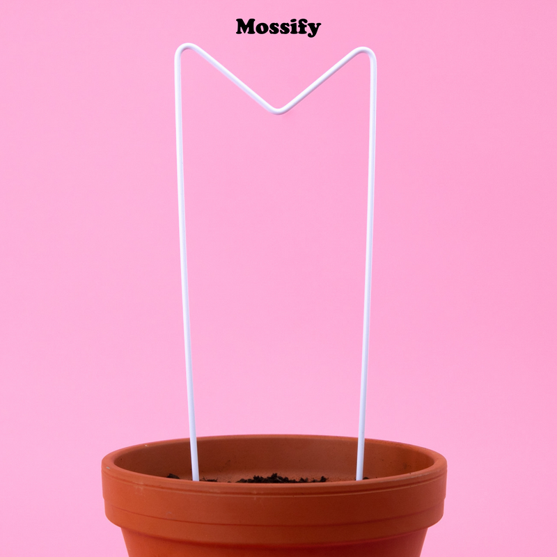 "M" Metal Trellis - Mossify