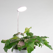 28" Adjustable LED Plant Light - Mossify