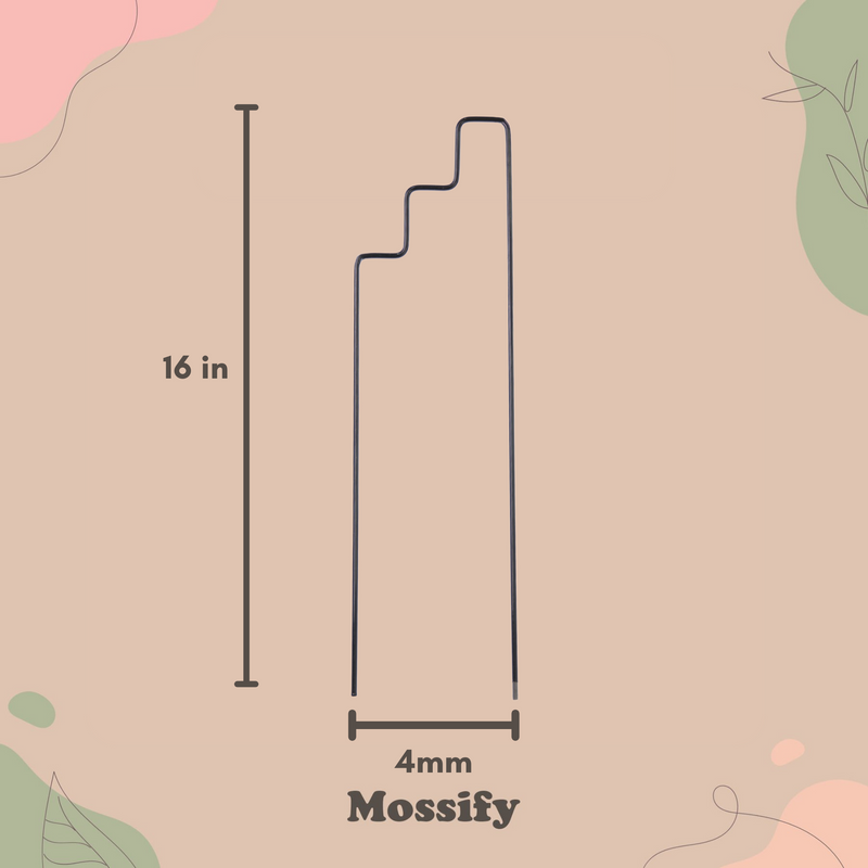 "Plant Stairs" Metal Trellis - Mossify