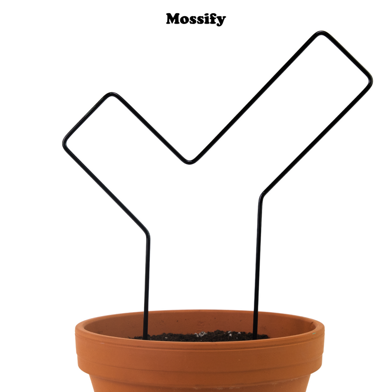 "Check Mark" Metal Trellis - Mossify