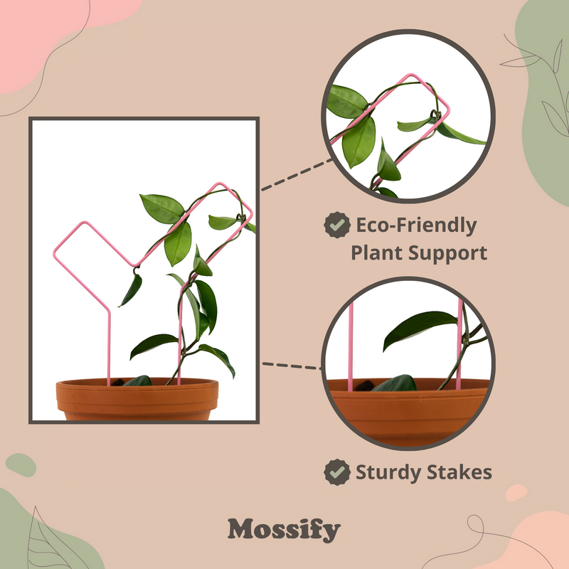 "Check Mark" Metal Trellis - Mossify