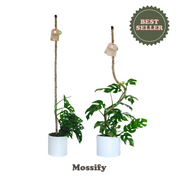 The Original Bendable Coir Pole™ - Best Seller (Tape Included) - Mossify