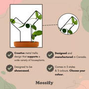 "Check Mark" Metal Trellis - Mossify