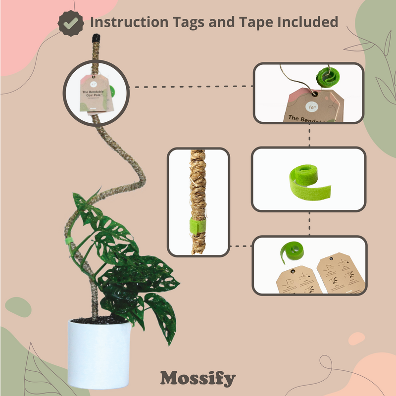 The Original Bendable Coir Pole™ - Best Seller (Tape Included) - Mossify