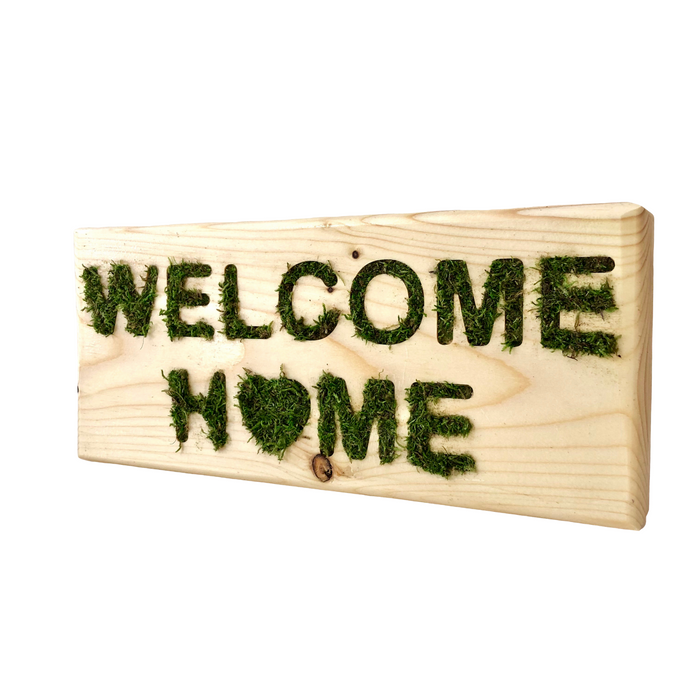 Bienvenue à la maison