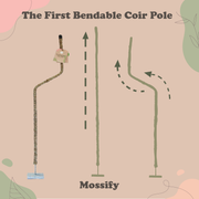 The Original Bendable Coir Pole™ - Best Seller (Tape Included) - Mossify
