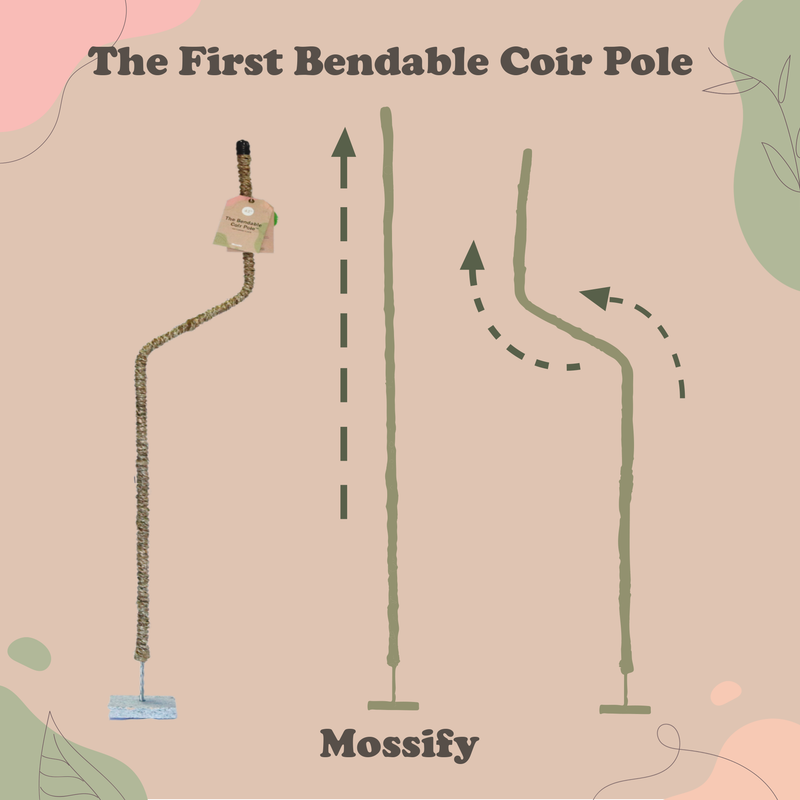 The Original Bendable Coir Pole™ - Best Seller (Tape Included) - Mossify