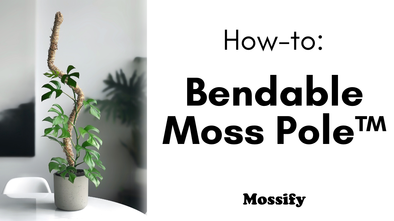 How To Use The Bendable Moss Pole™